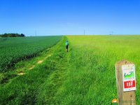 WaellerTour-Brexbachschluchtweg-05