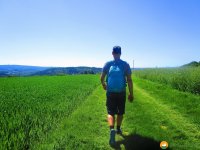 WaellerTour-Brexbachschluchtweg-06