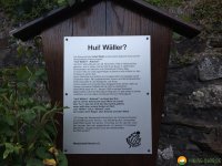 WaellerTour-Brexbachschluchtweg-24