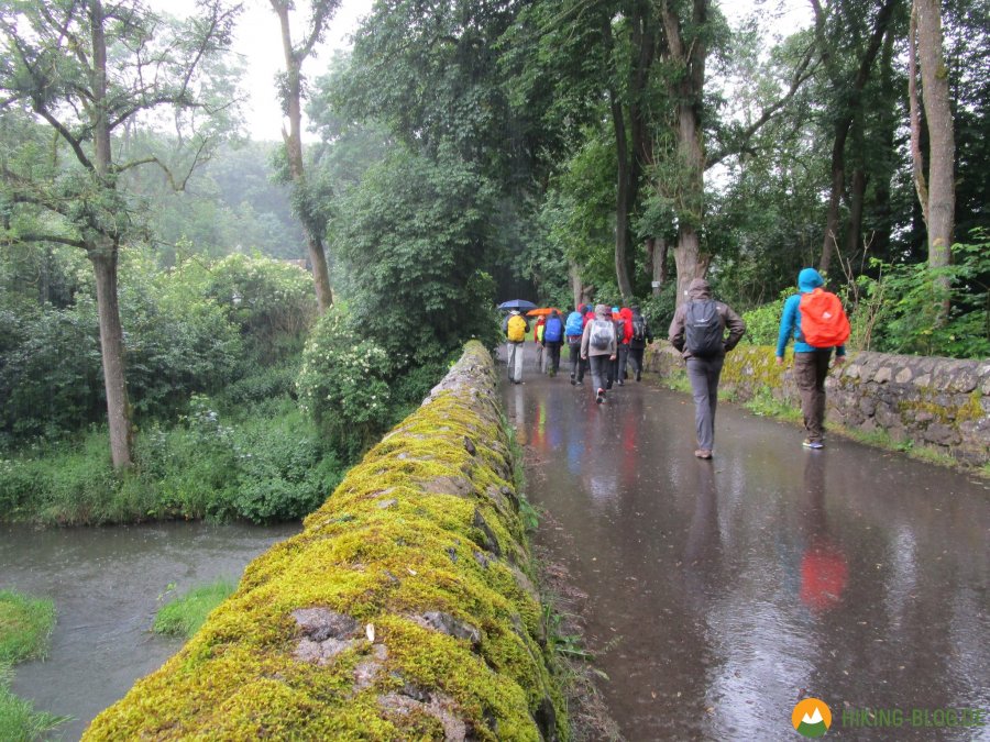 Wandermarathon-WesterWaldsteig-13