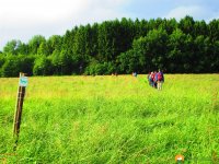 Wandermarathon-WesterWaldsteig-28