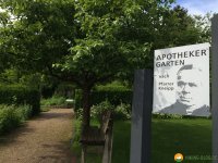 Wandermarathon-WesterWaldsteig-03