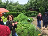 Wandermarathon-WesterWaldsteig-04