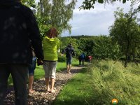 Wandermarathon-WesterWaldsteig-05
