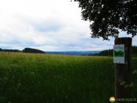 Wandermarathon-WesterWaldsteig-18