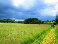 Wandermarathon-WesterWaldsteig-25