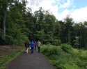 Wandermarathon-WesterWaldsteig-01