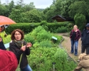 Wandermarathon-WesterWaldsteig-04