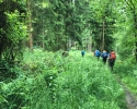 Wandermarathon-WesterWaldsteig-10
