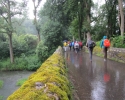 Wandermarathon-WesterWaldsteig-13