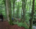 Wandermarathon-WesterWaldsteig-14