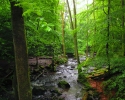 Wandermarathon-WesterWaldsteig-15