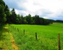 Wandermarathon-WesterWaldsteig-21