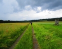 Wandermarathon-WesterWaldsteig-22