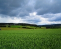 Wandermarathon-WesterWaldsteig-23