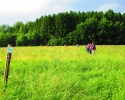 Wandermarathon-WesterWaldsteig-28