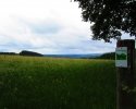 Wandermarathon-WesterWaldsteig-18