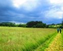 Wandermarathon-WesterWaldsteig-25