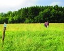 Wandermarathon-WesterWaldsteig-28
