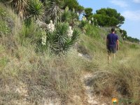 wandern_mallorca01