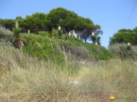 wandern_mallorca10