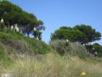 wandern_mallorca12