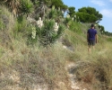 wandern_mallorca01