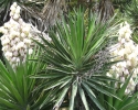 wandern_mallorca08