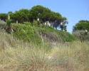 wandern_mallorca10