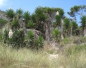 wandern_mallorca11