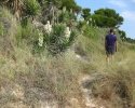 wandern_mallorca01