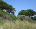 wandern_mallorca12