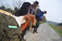 Wandern_mit_Pony_01