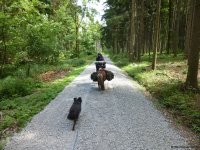 Wandern_mit_Pony_03