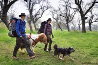 Wandern_mit_Pony_07
