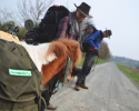 Wandern_mit_Pony_01