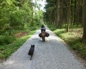 Wandern_mit_Pony_03