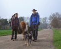 Wandern_mit_Pony_06