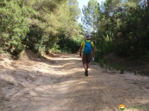 Wanderung-Rio-Seco-05
