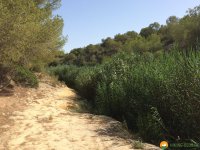 Wanderung-Rio-Seco-06