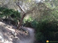 Wanderung-Rio-Seco-18