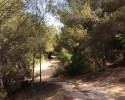Wanderung-Rio-Seco-04