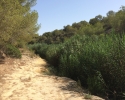 Wanderung-Rio-Seco-06