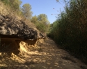 Wanderung-Rio-Seco-07