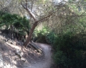 Wanderung-Rio-Seco-18