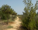 Wanderung-Rio-Seco-22