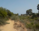 Wanderung-Rio-Seco-23
