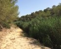 Wanderung-Rio-Seco-06