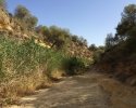 Wanderung-Rio-Seco-11