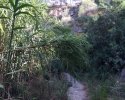 Wanderung-Rio-Seco-12